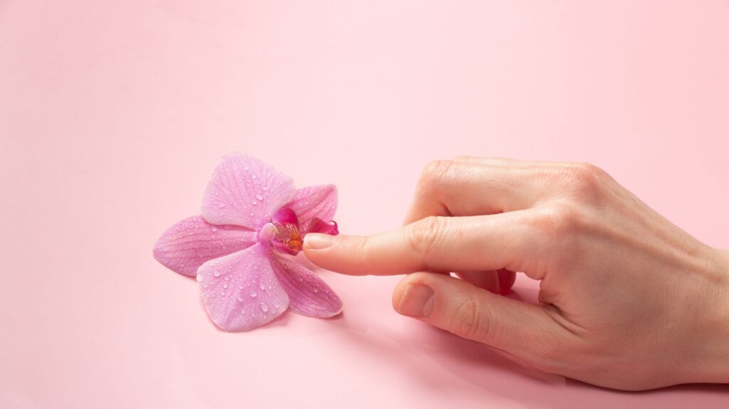 mão de mulher indo tocar o botão de uma flor rosa para remeter ao clitóris
