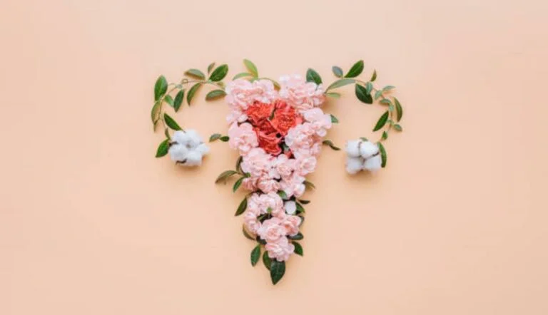 imagem de flores formando o sistema reprodutor feminino