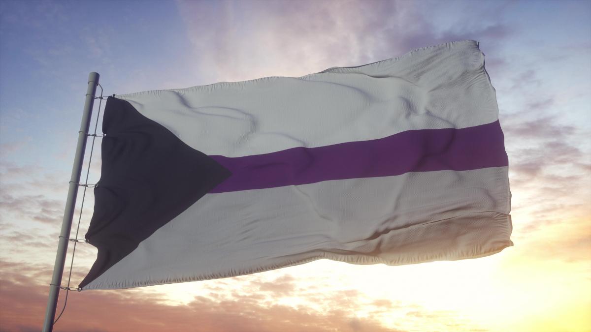 Bandeira da demissexualidade contra o céu.