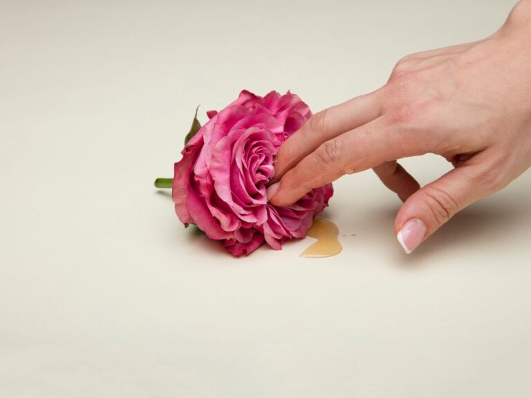 mão dentro de uma rosa para ilustrar um post sobre como gozar sozinha