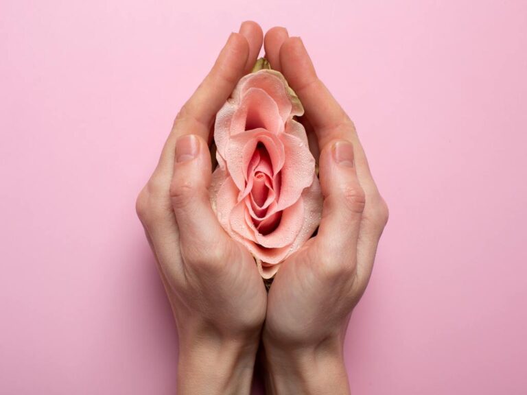 Representação de uma vagina com rosa
