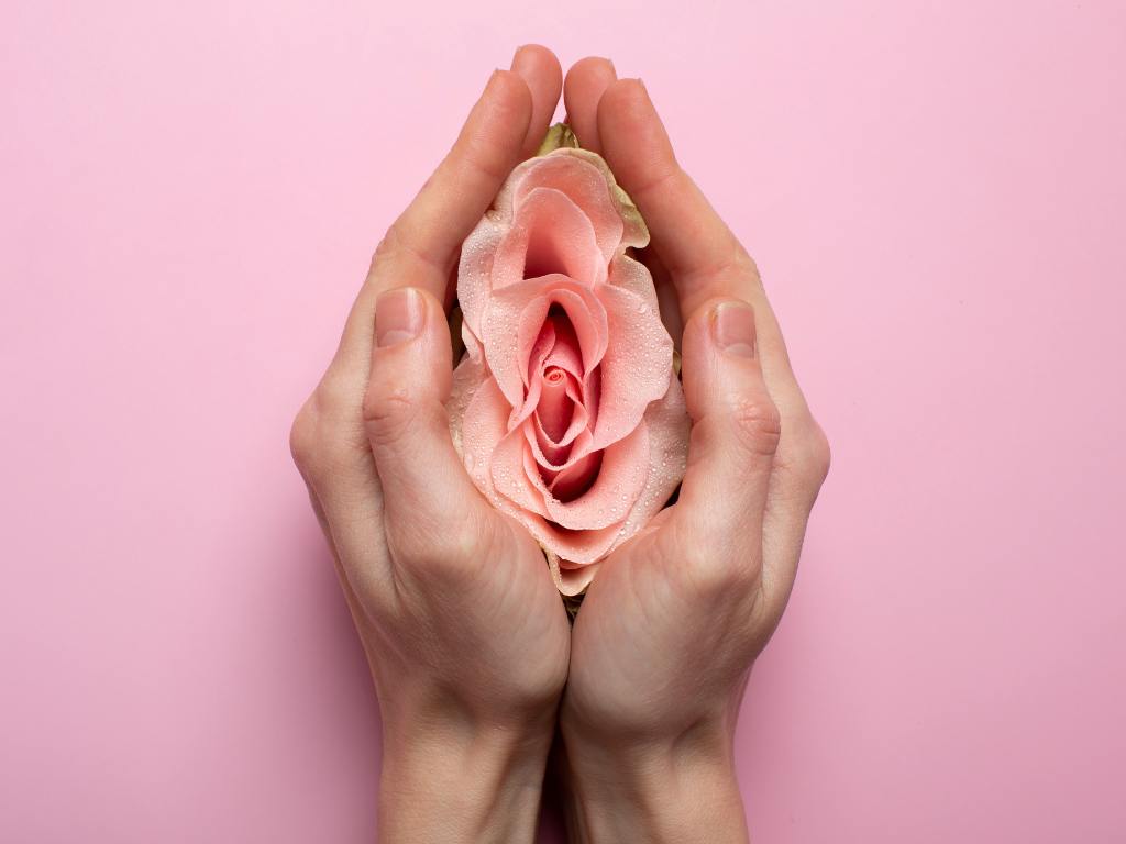 Representação de uma vagina com rosa