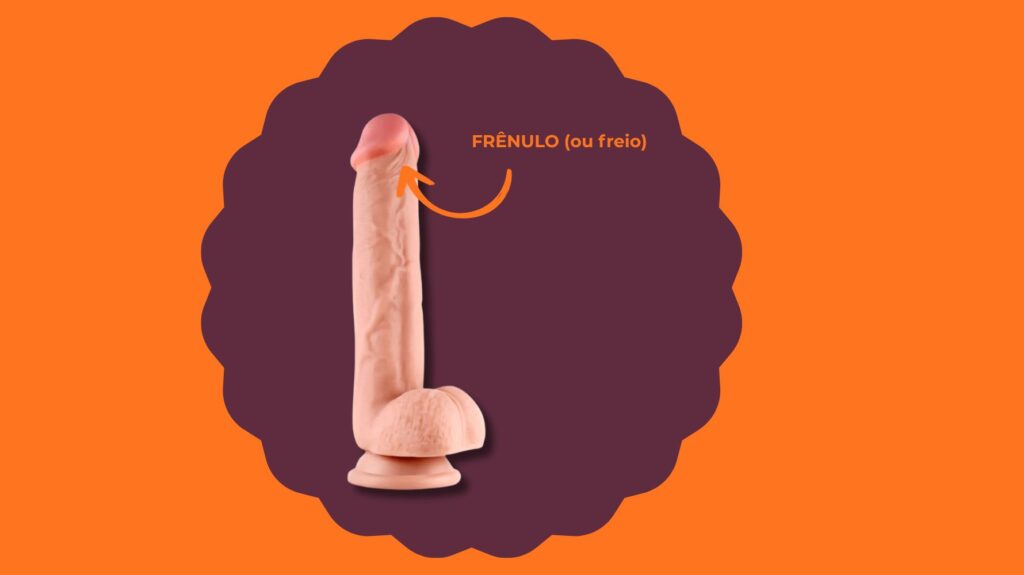 ilustração freio do pênis