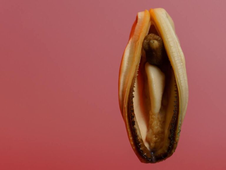 Representação de vagina