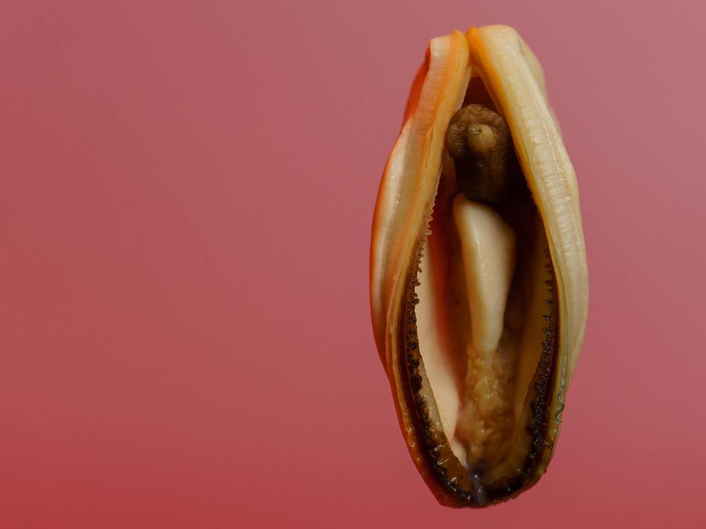 Representação de vagina