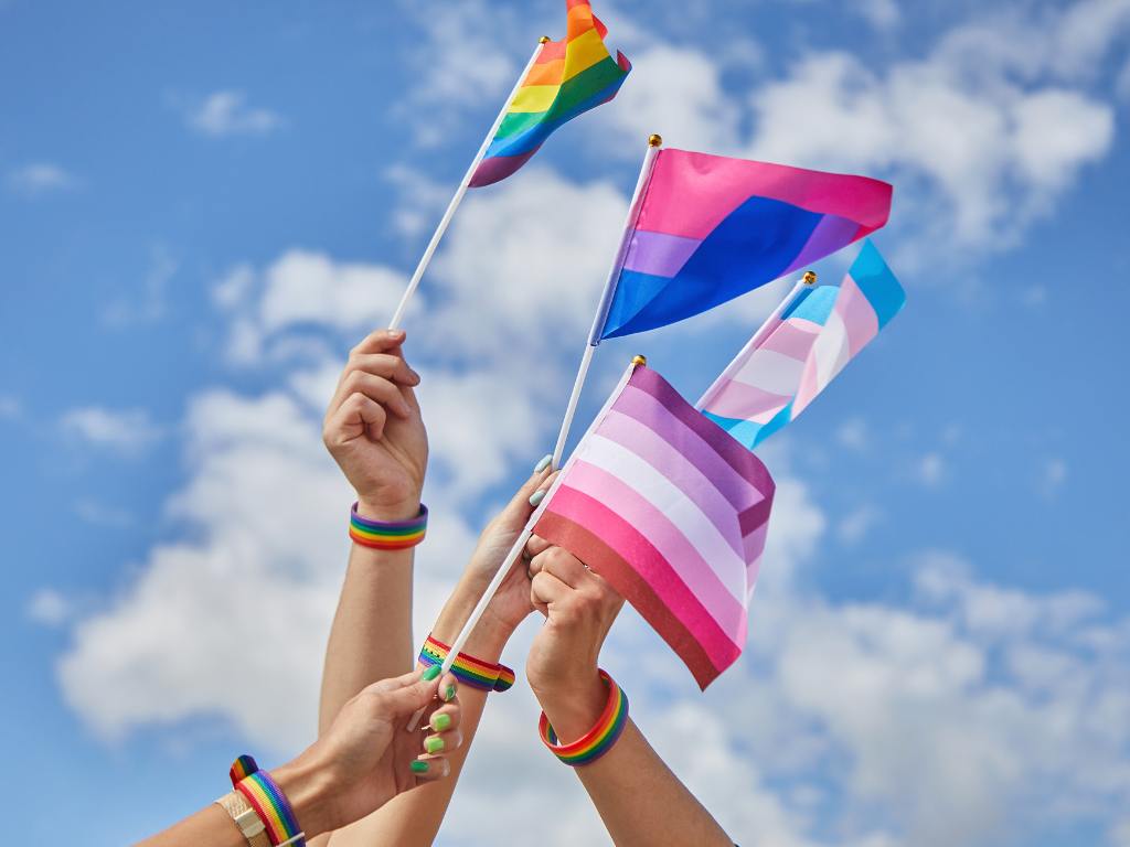 Bandeiras de sexualidades diferentes