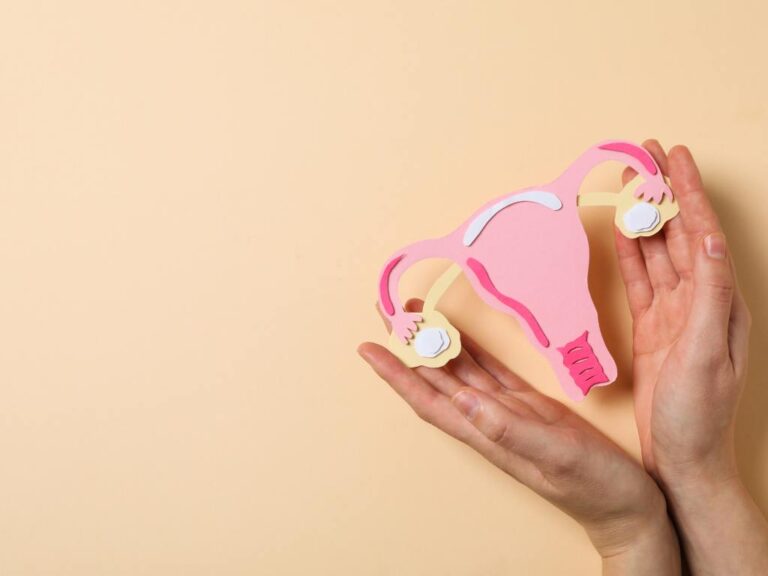 Pessoa segurando útero