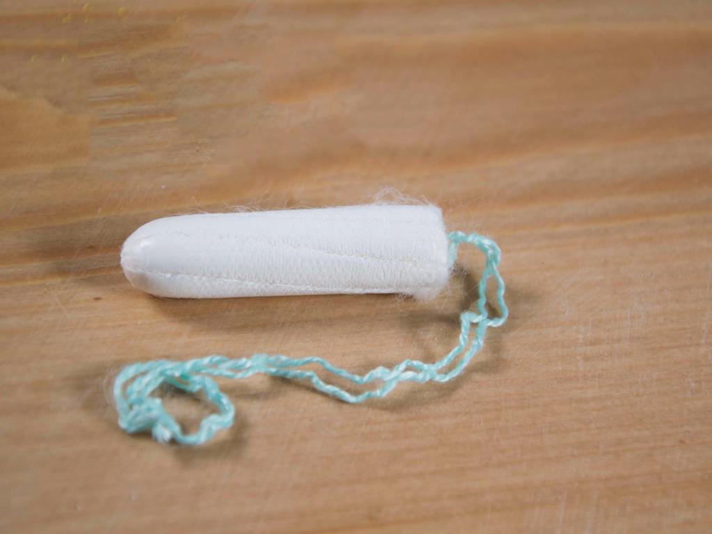 Absorvente interno