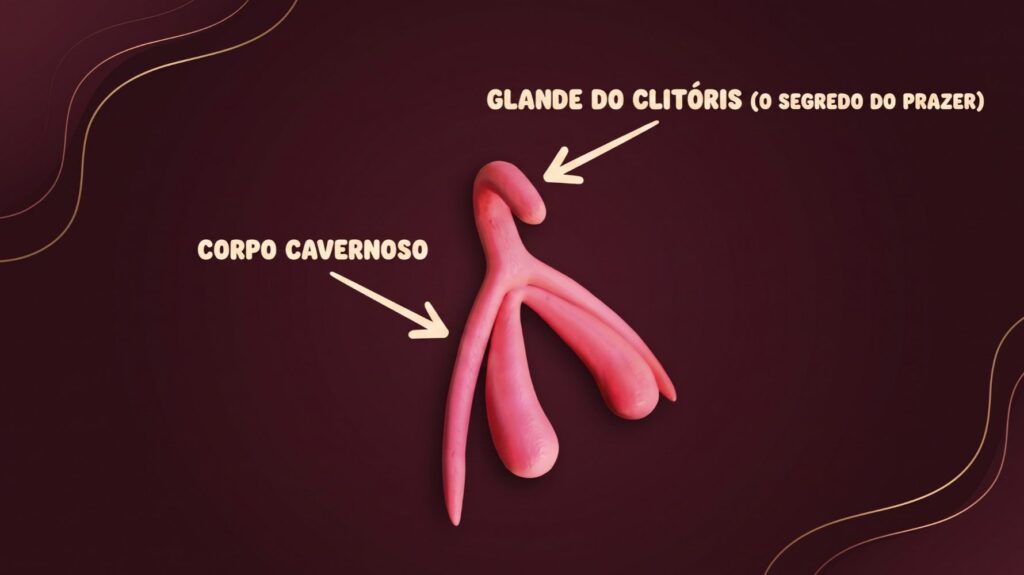 clitoris